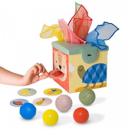 taf toys magiczny pojemnik